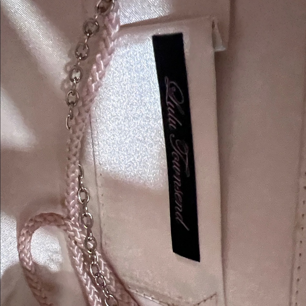 Lulu Townsend Blush Satin Magnetic Closure Evening Bag - Picture 2 of 5